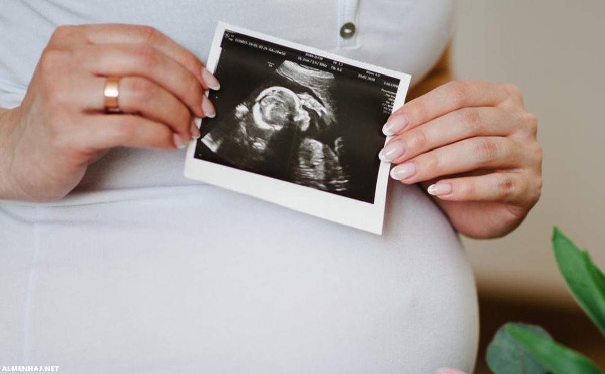 متى ينزل كيس الحمل بعد الاجهاض في الشهر الأول موسوعة المنهاج